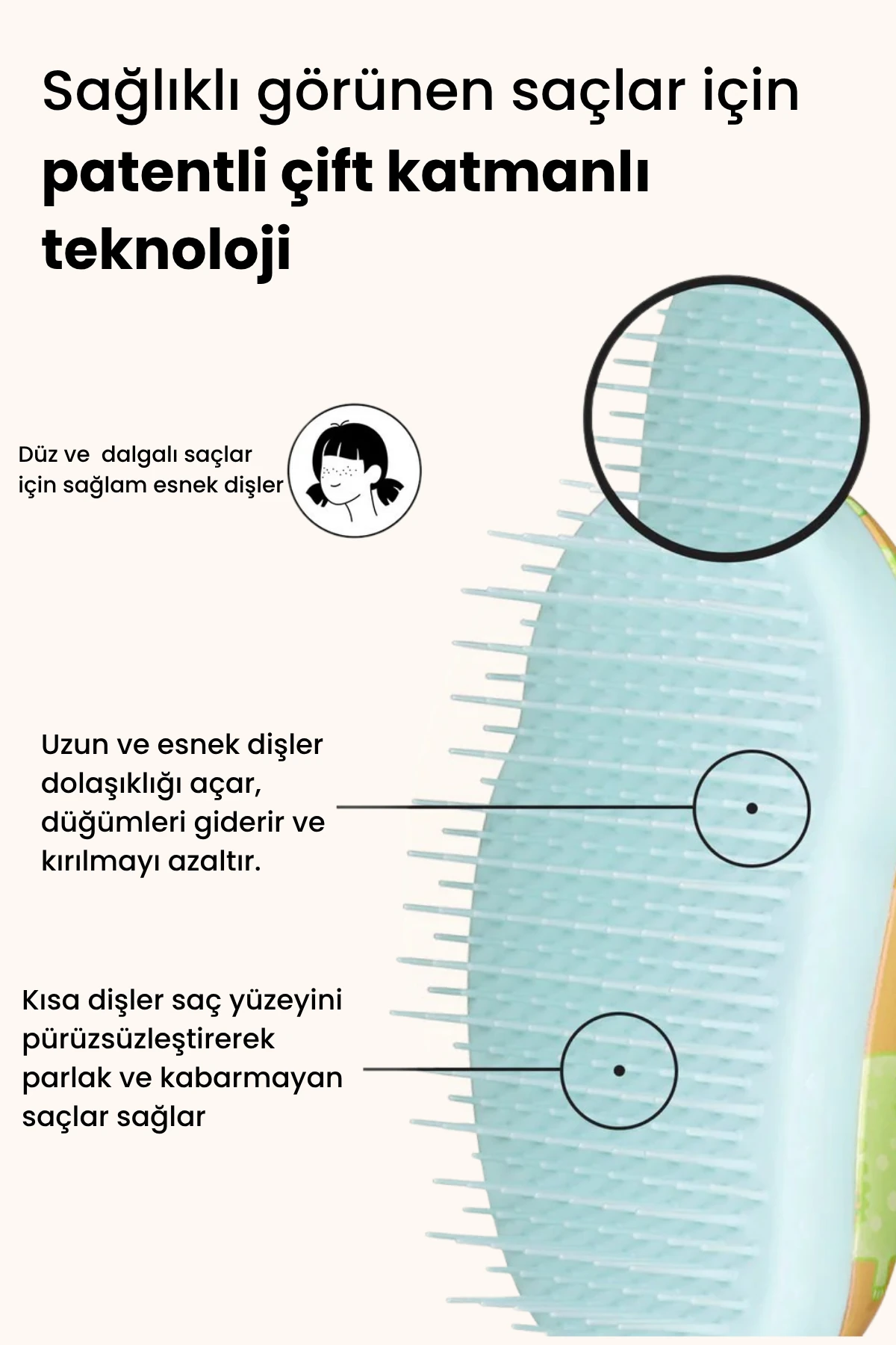 Small Original - Dinosaurs