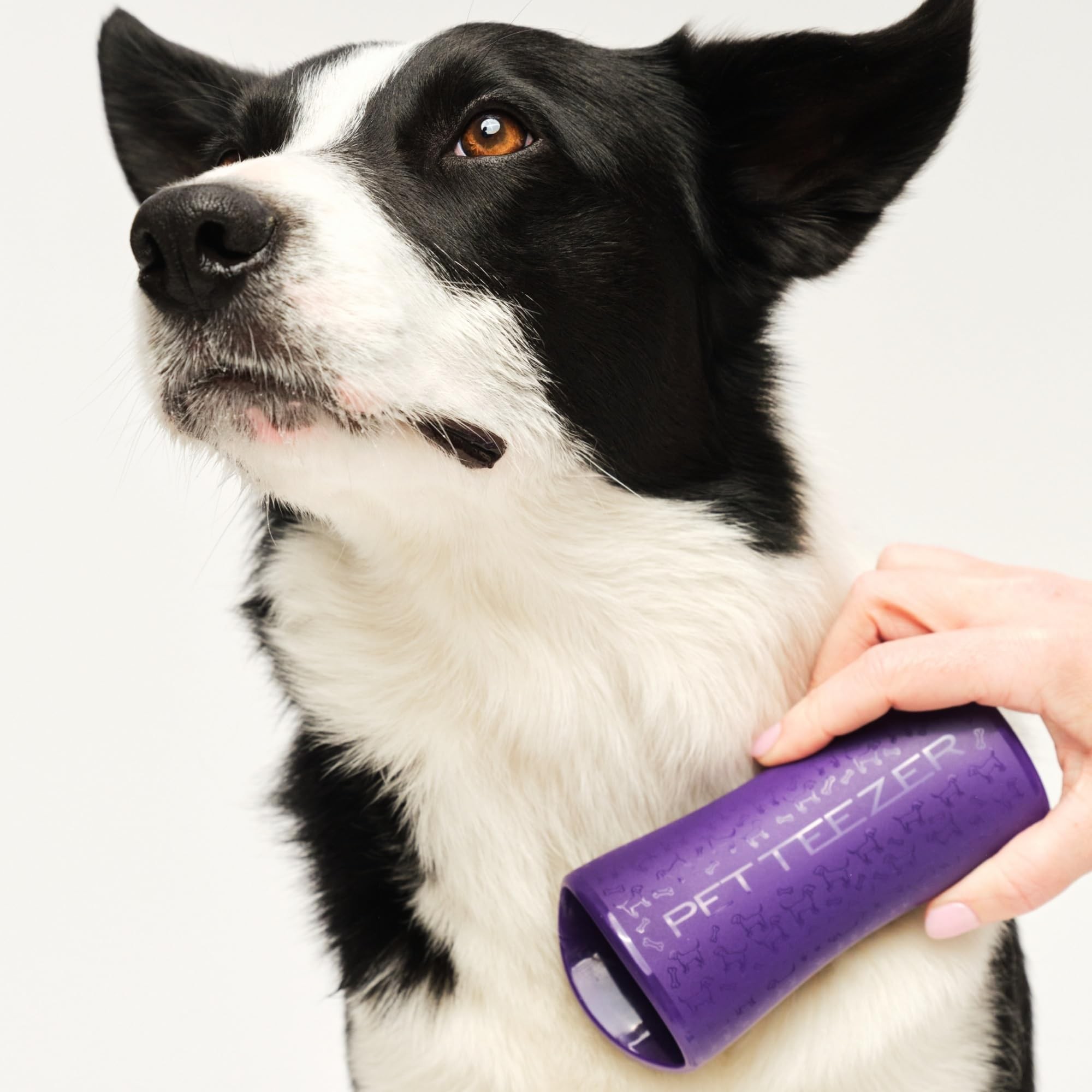 Pet Teezer - Deshedding - Purple / Grey-5060173378356