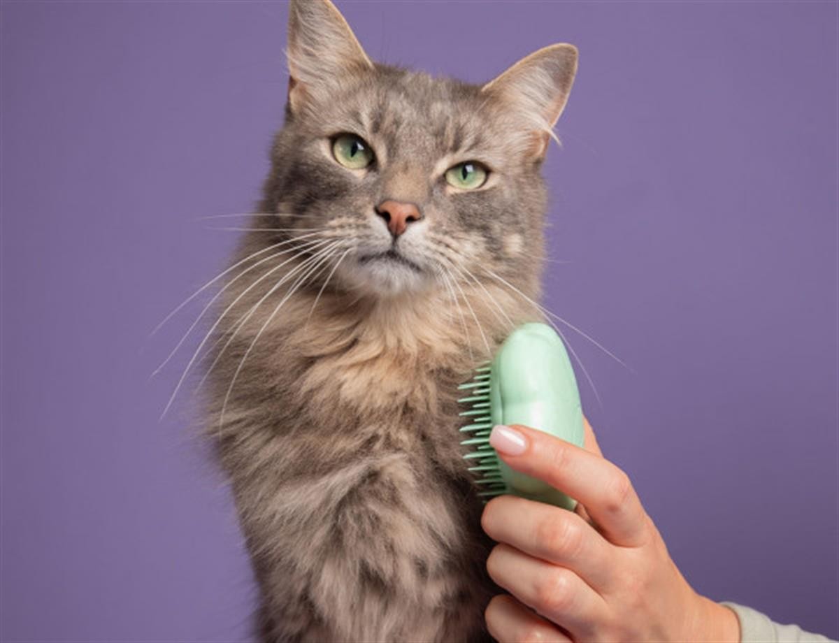 Cat Teezer-Cat Brush Green