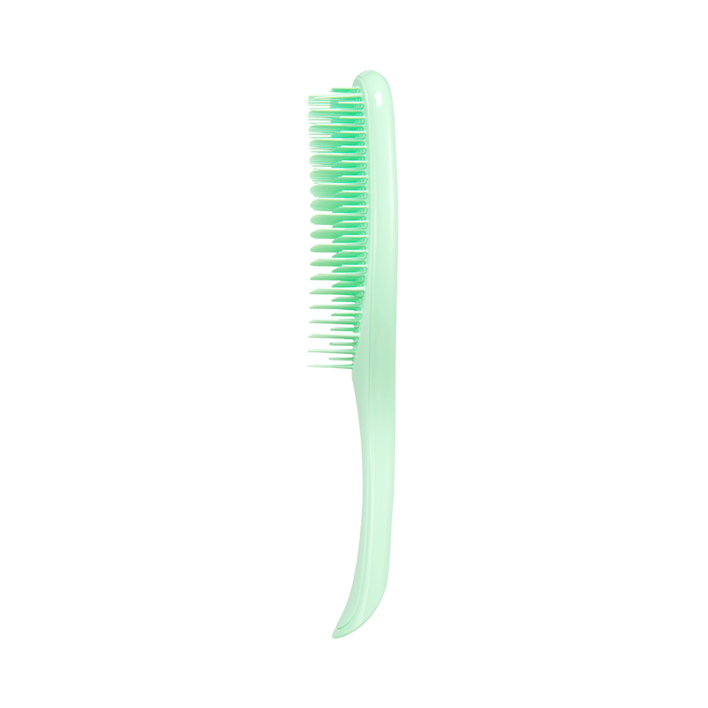 Wet Detangler - Mint Karma