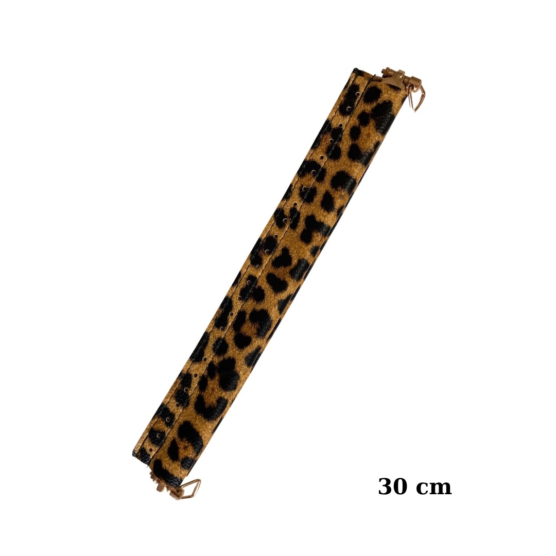 Leopar thumbnail image