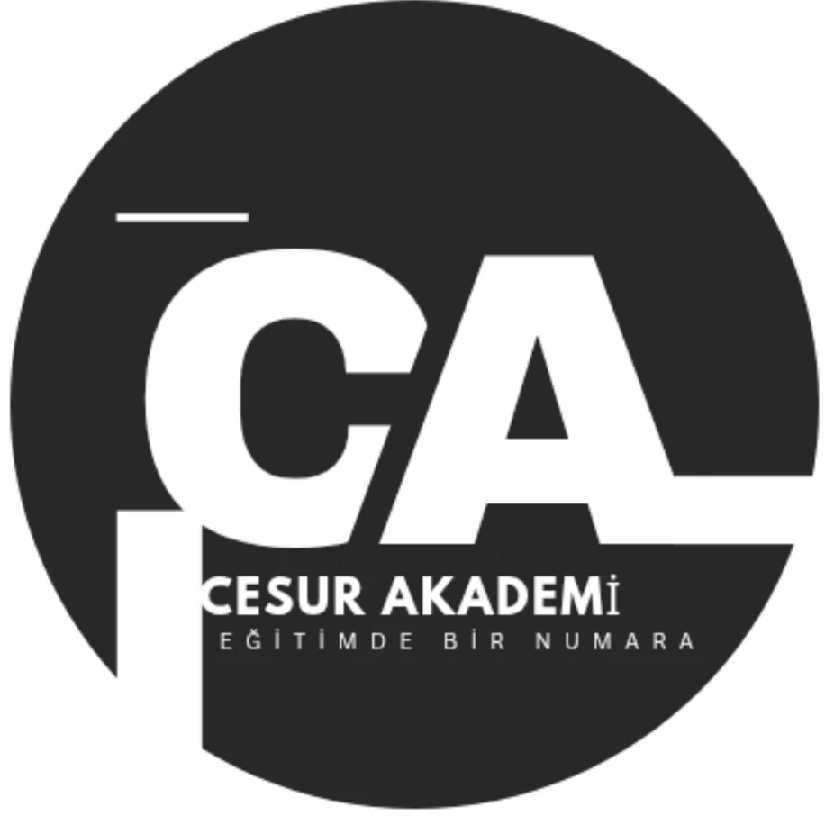 KURUM ŞİRKET VEYA KİŞİYE ÖZEL ŞARKI YAPILIR