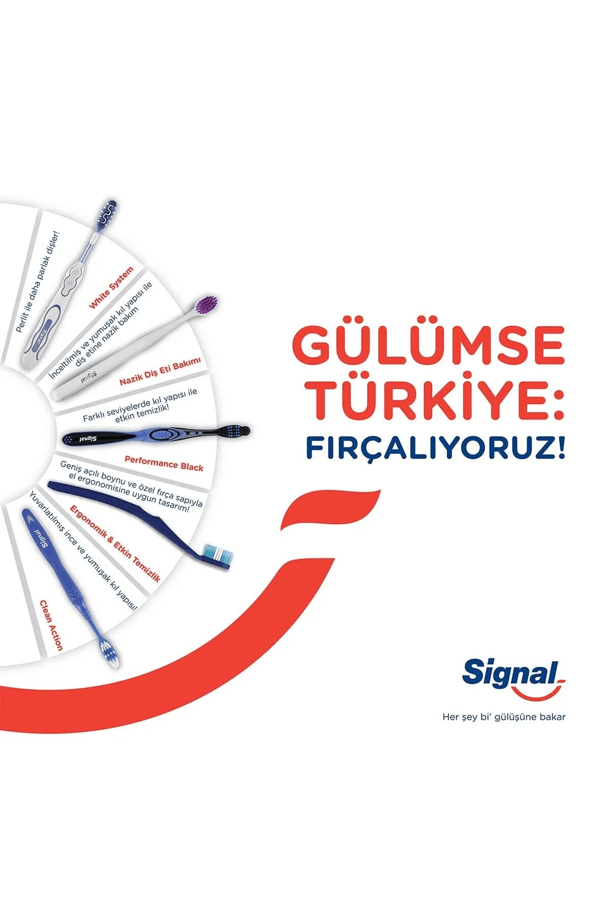 Signal Performans Black 1+1 Diş Fırçası