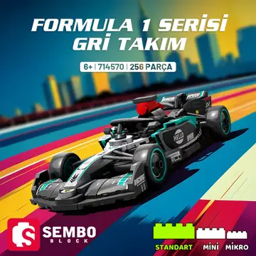 Formula 1 Gri Takım
