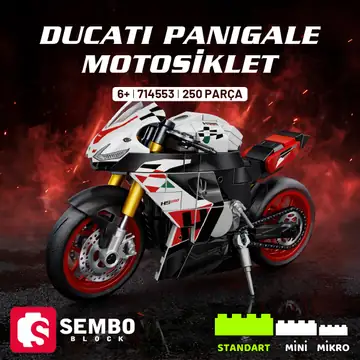 Aprilia RS660 Motosiklet