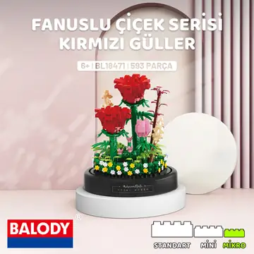 Kırmızı Gül