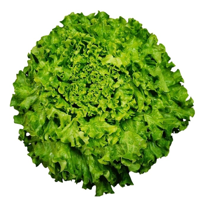 Kıvırcık Duble 