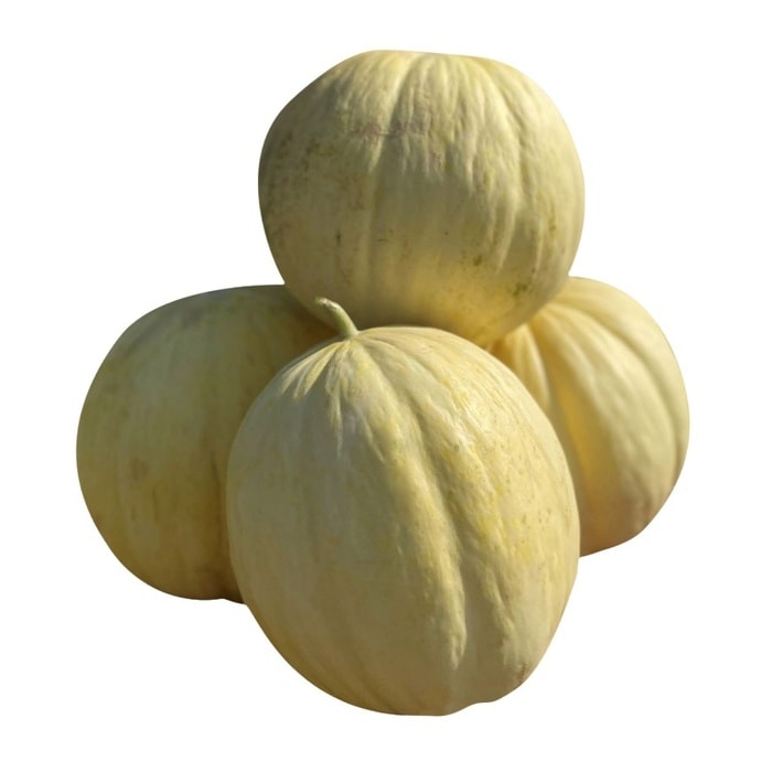 Kavun Biga 2500 Gr 