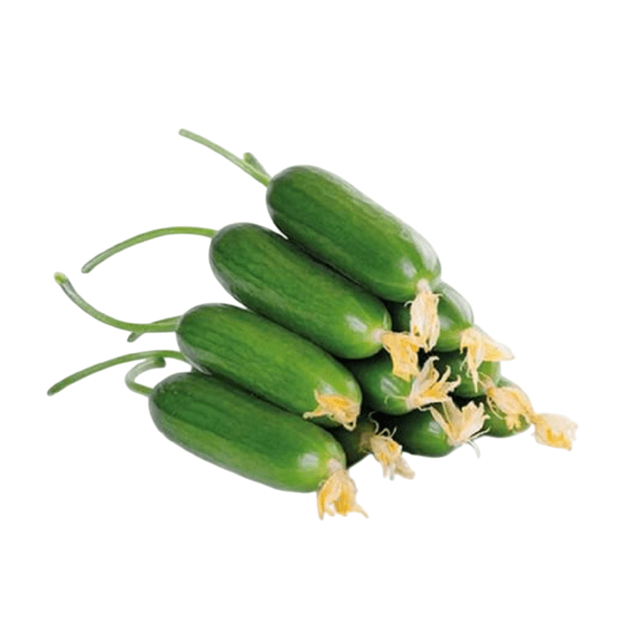 Salatalık Çengelköy 500 Gr