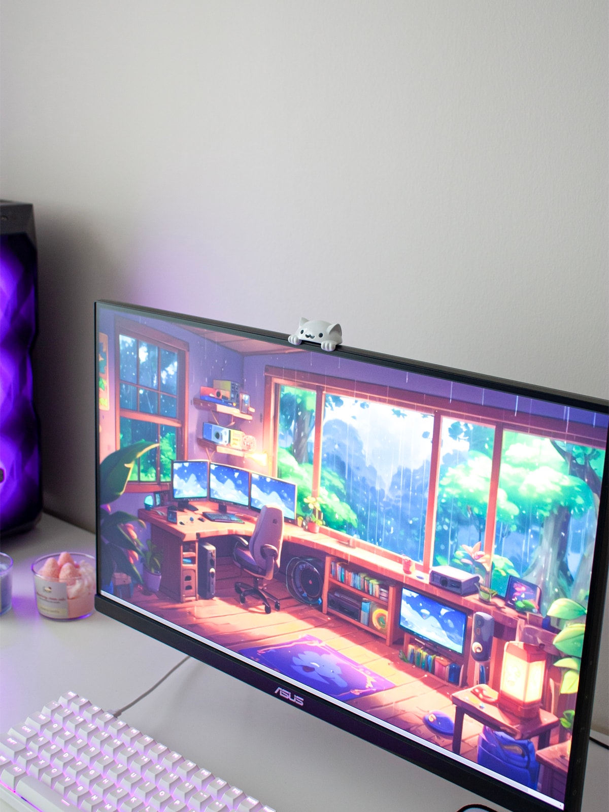 Meraklı Kedi Setup Aksesuarı