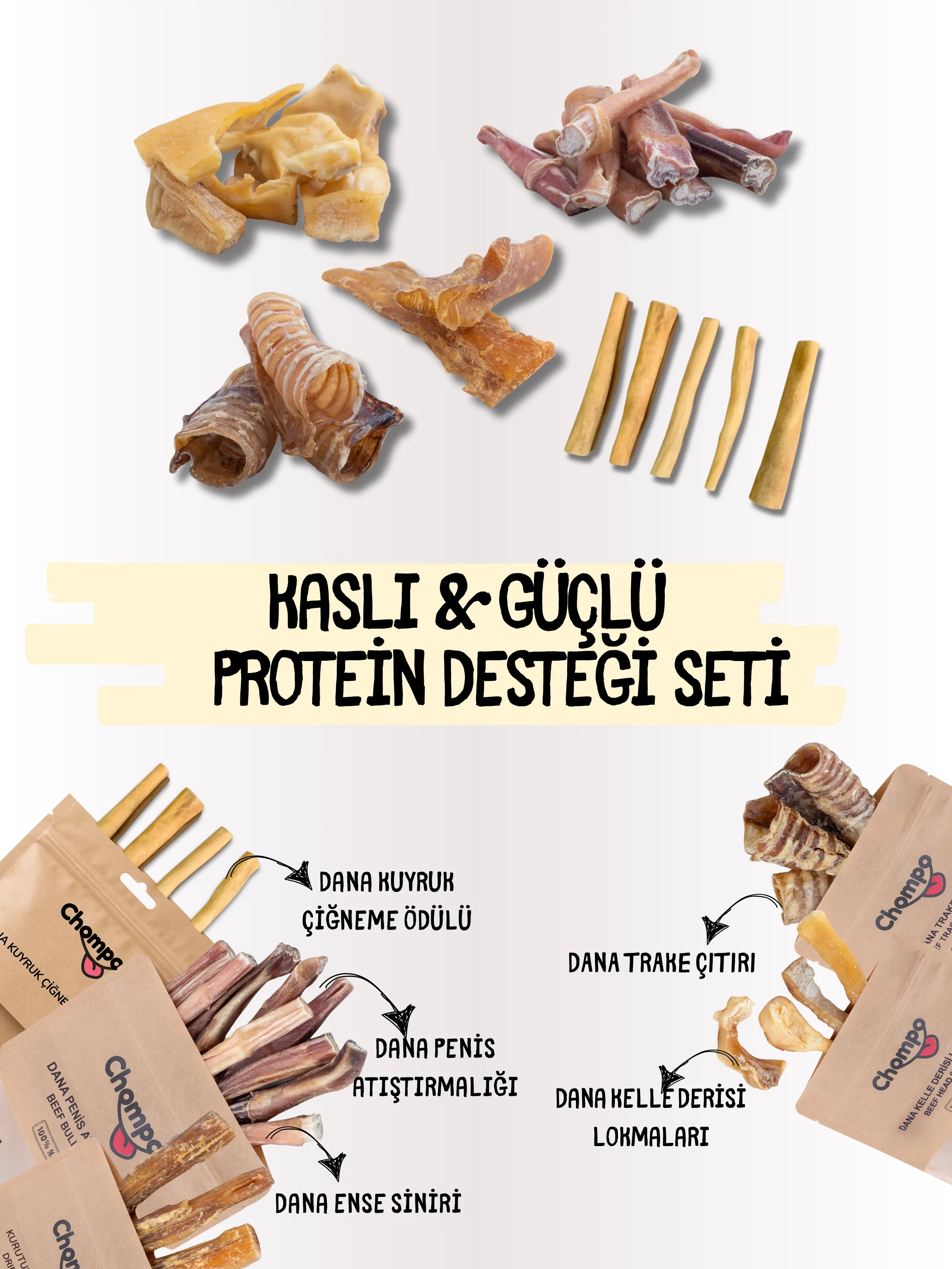 Kaslı & Güçlü Protein Desteği Seti 5'li