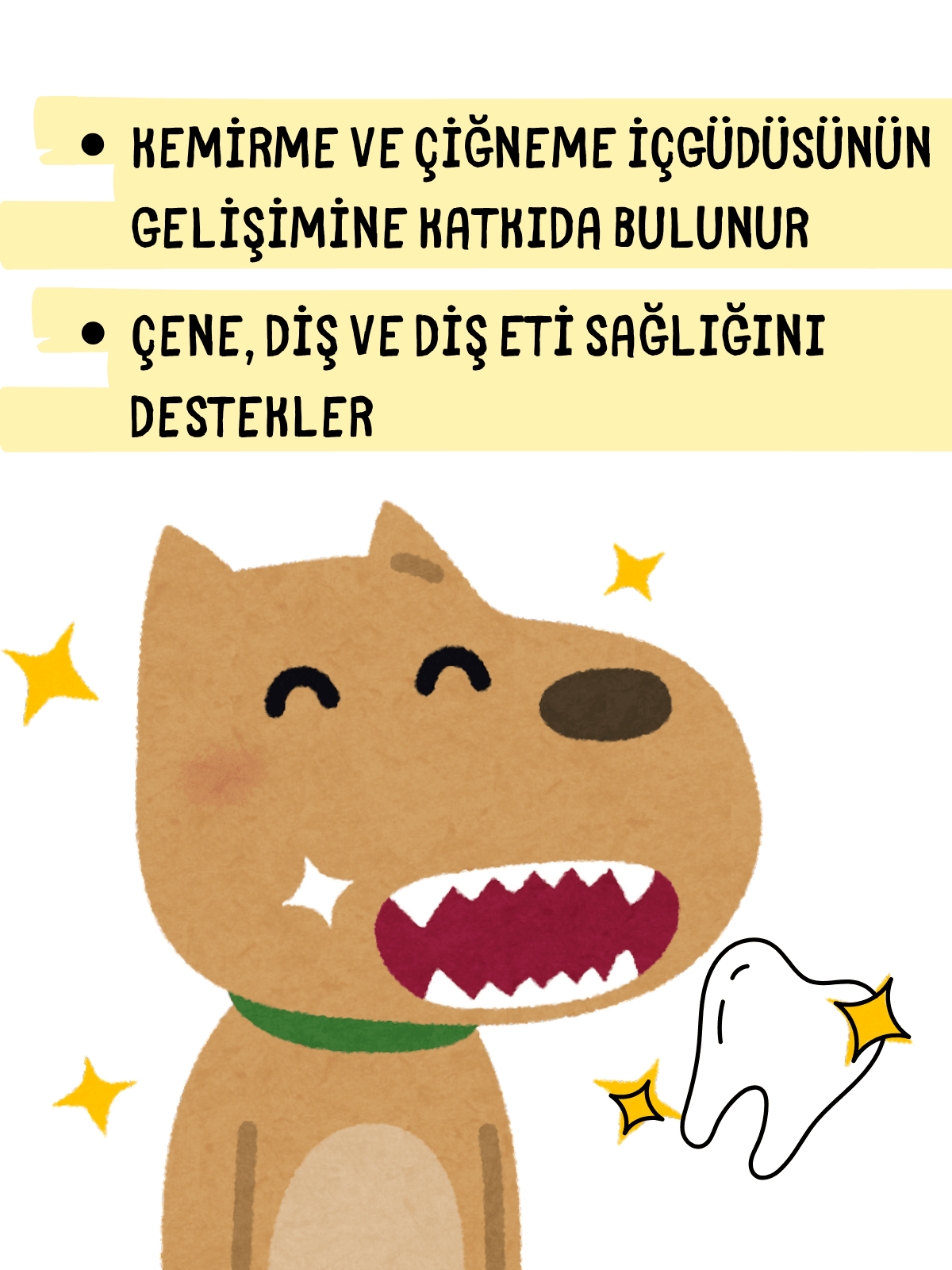 100% Dana Diş Kaşıma 2'lisi Katkısız Köpek Ödülü 2x100 Gr
