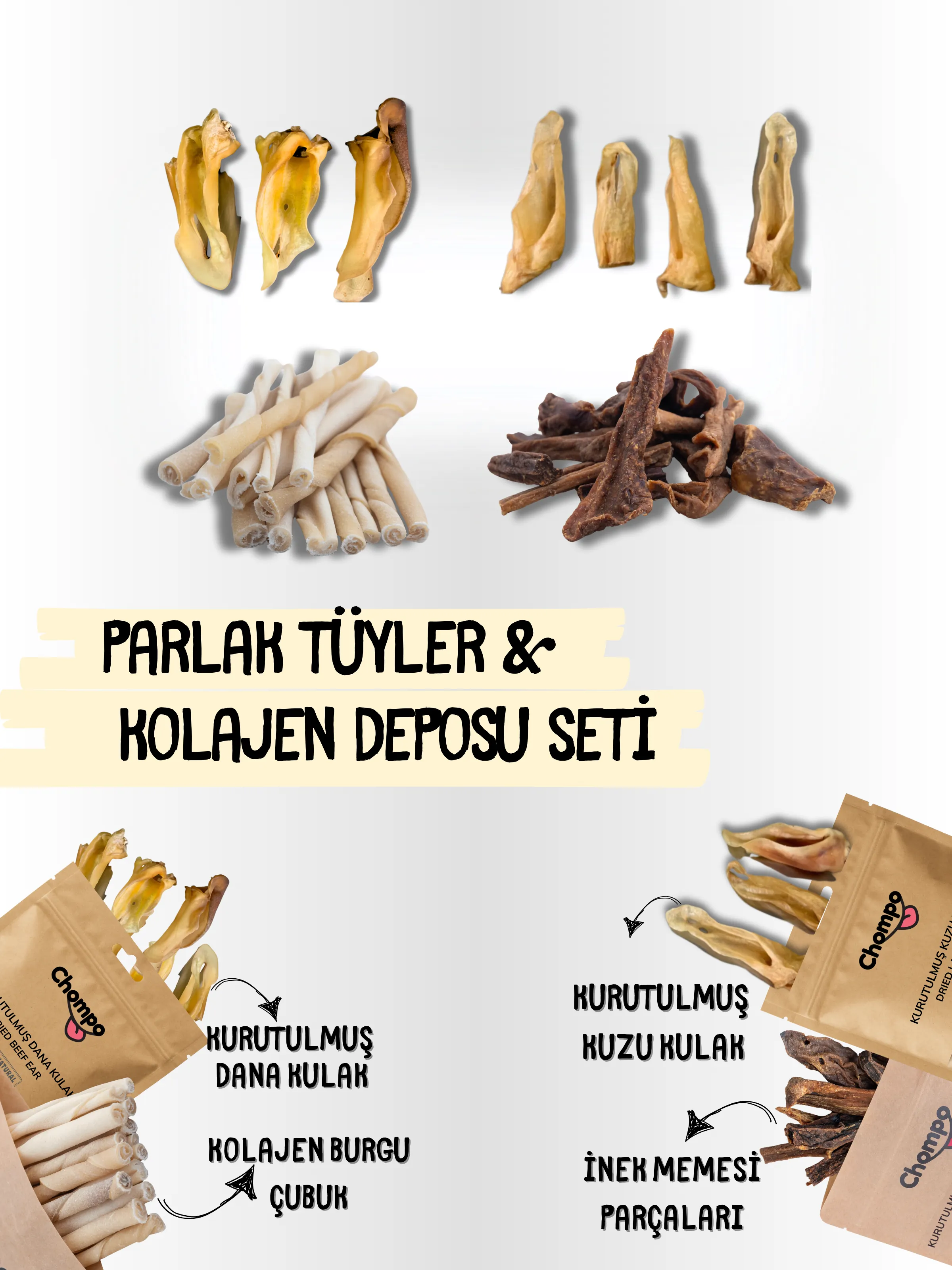 Parlak Tüyler & Kolajen Deposu Seti 4'lü