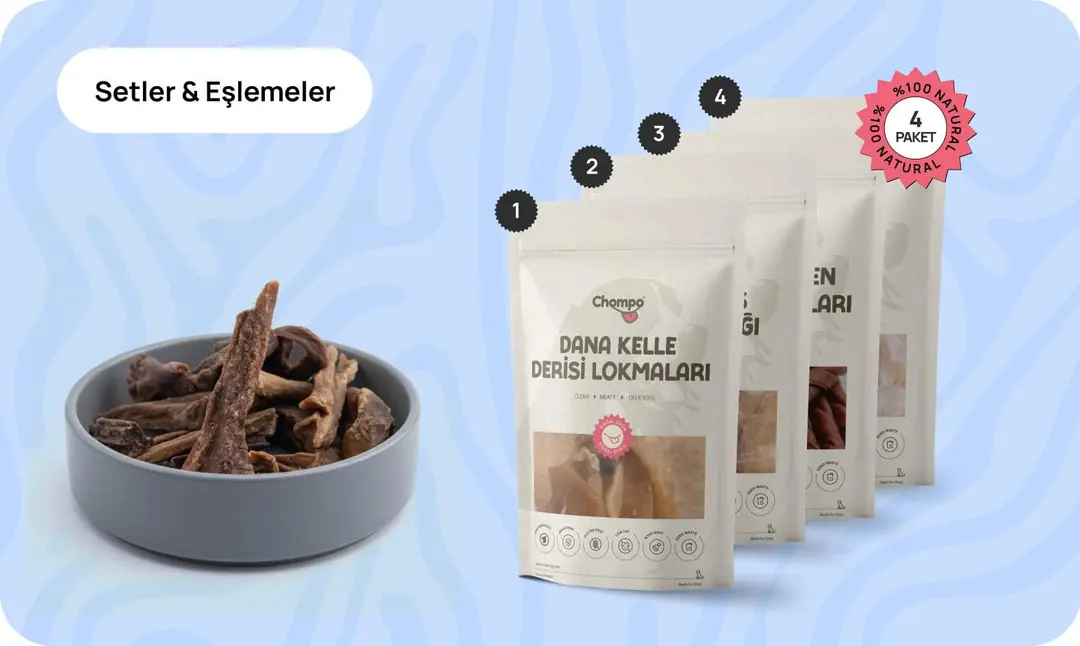 Setler ve Eşlemeler