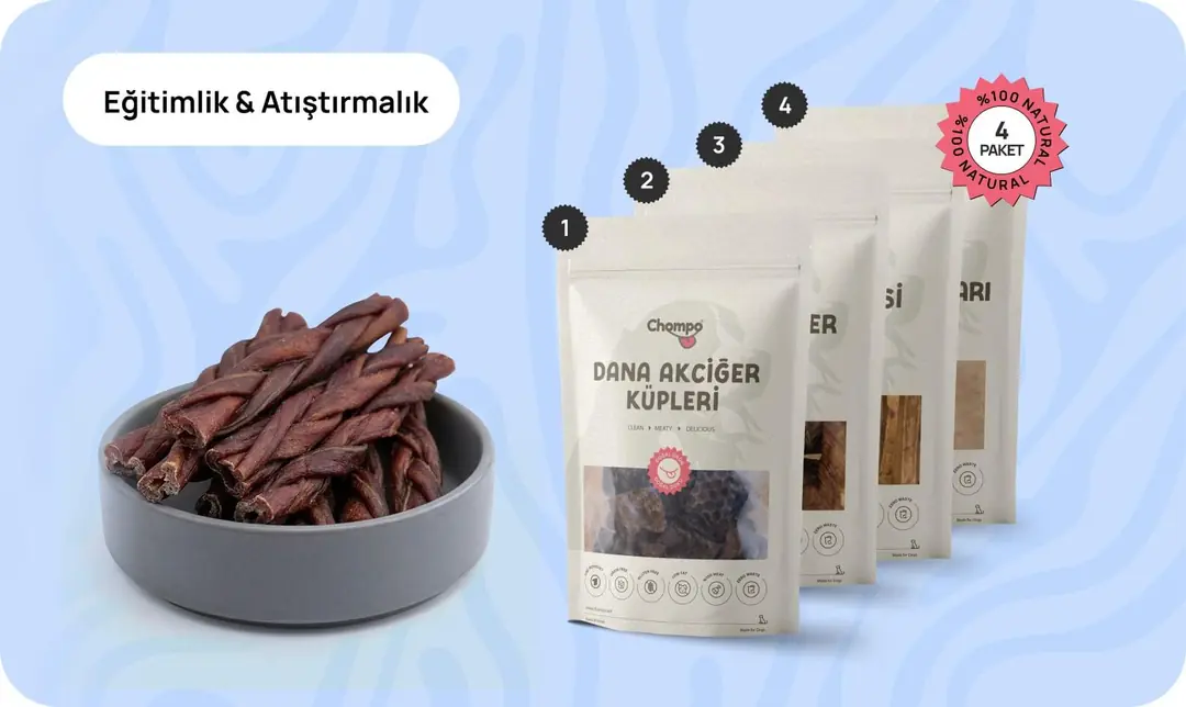 Eğitimlik ve Atıştırmalık