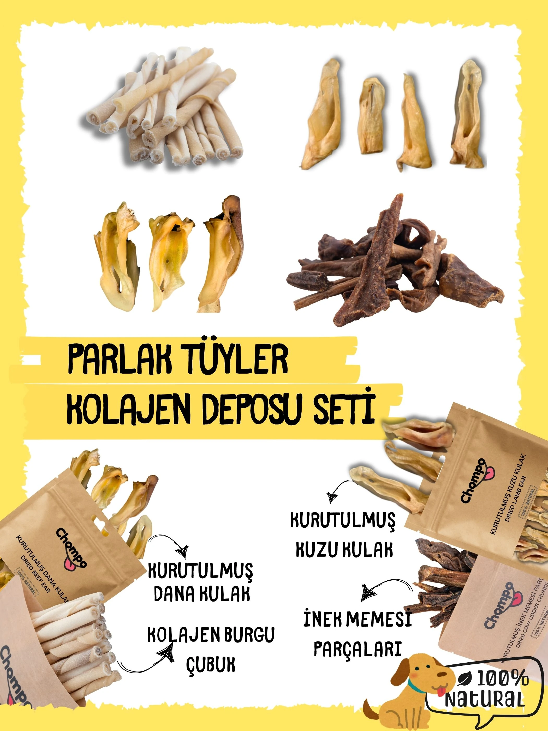 Parlak Tüyler Kolajen Deposu Seti