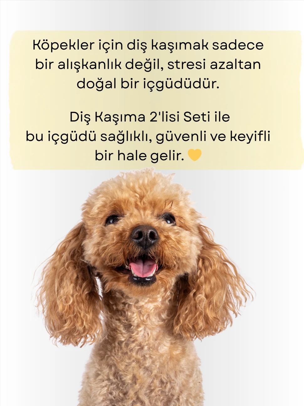 Diş Kaşıma 2'lisi Katkısız Köpek Ödülü Seti