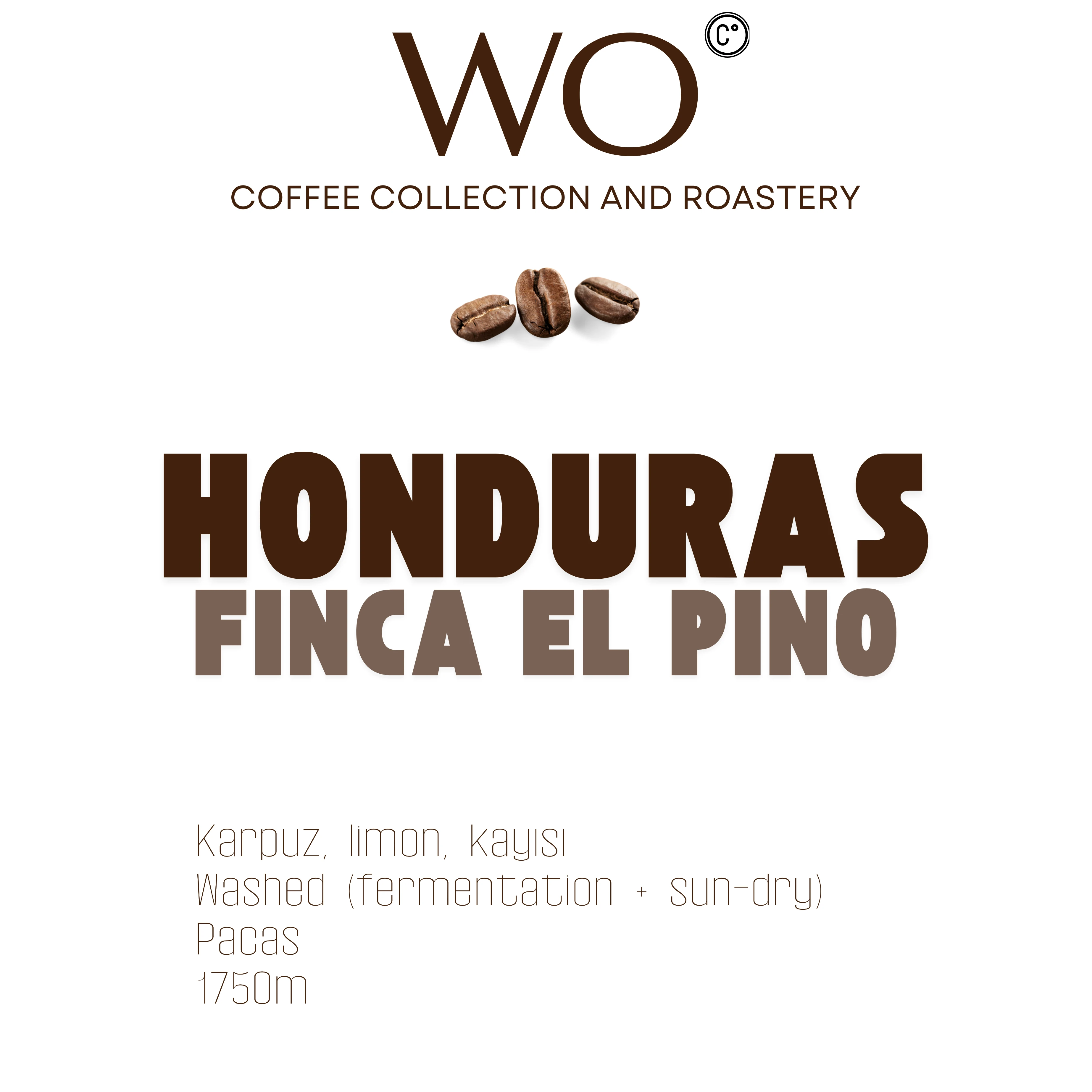 Honduras Finca El Pino