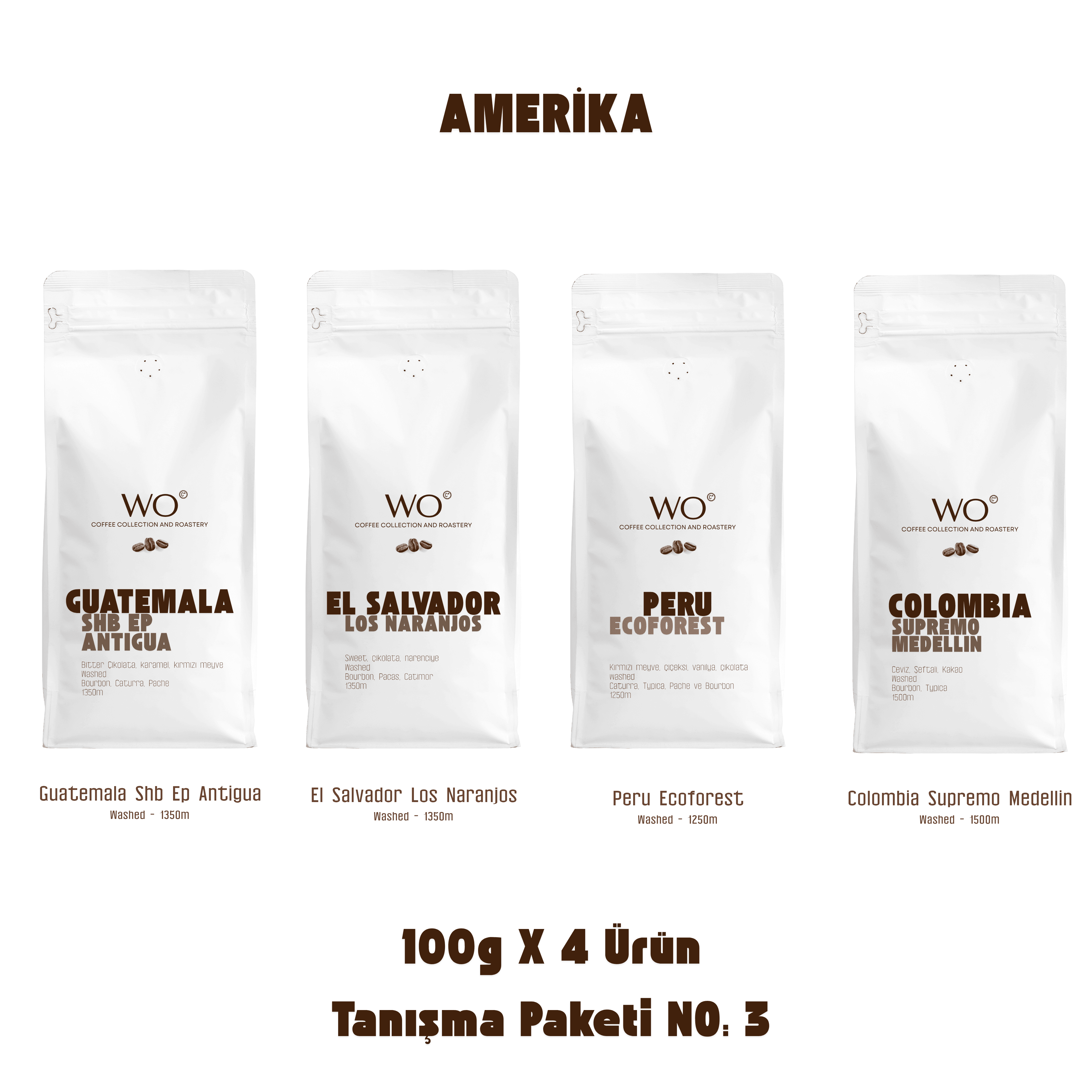 Tanışma Paketi No:3 Amerika
