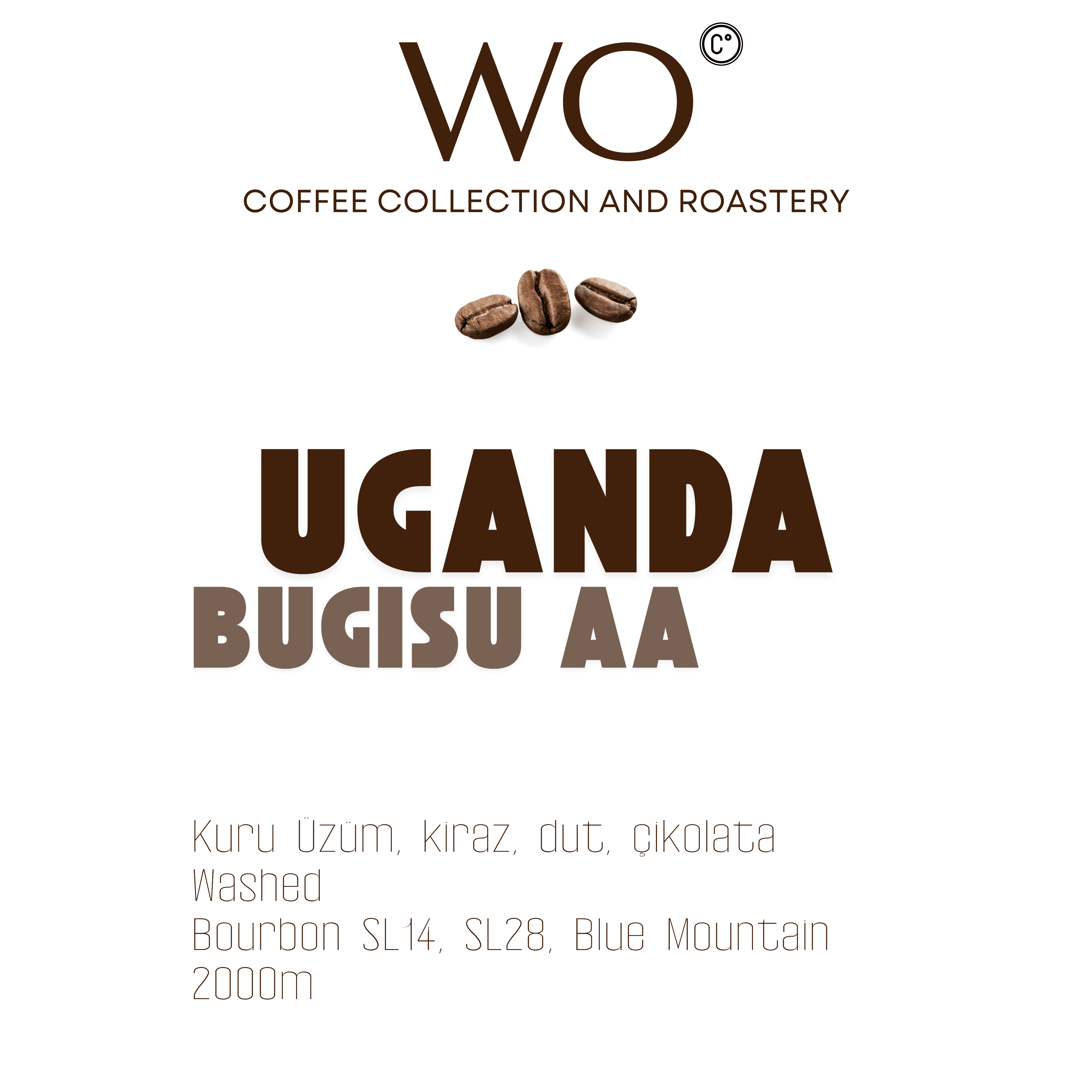 Uganda Bugisu AA
