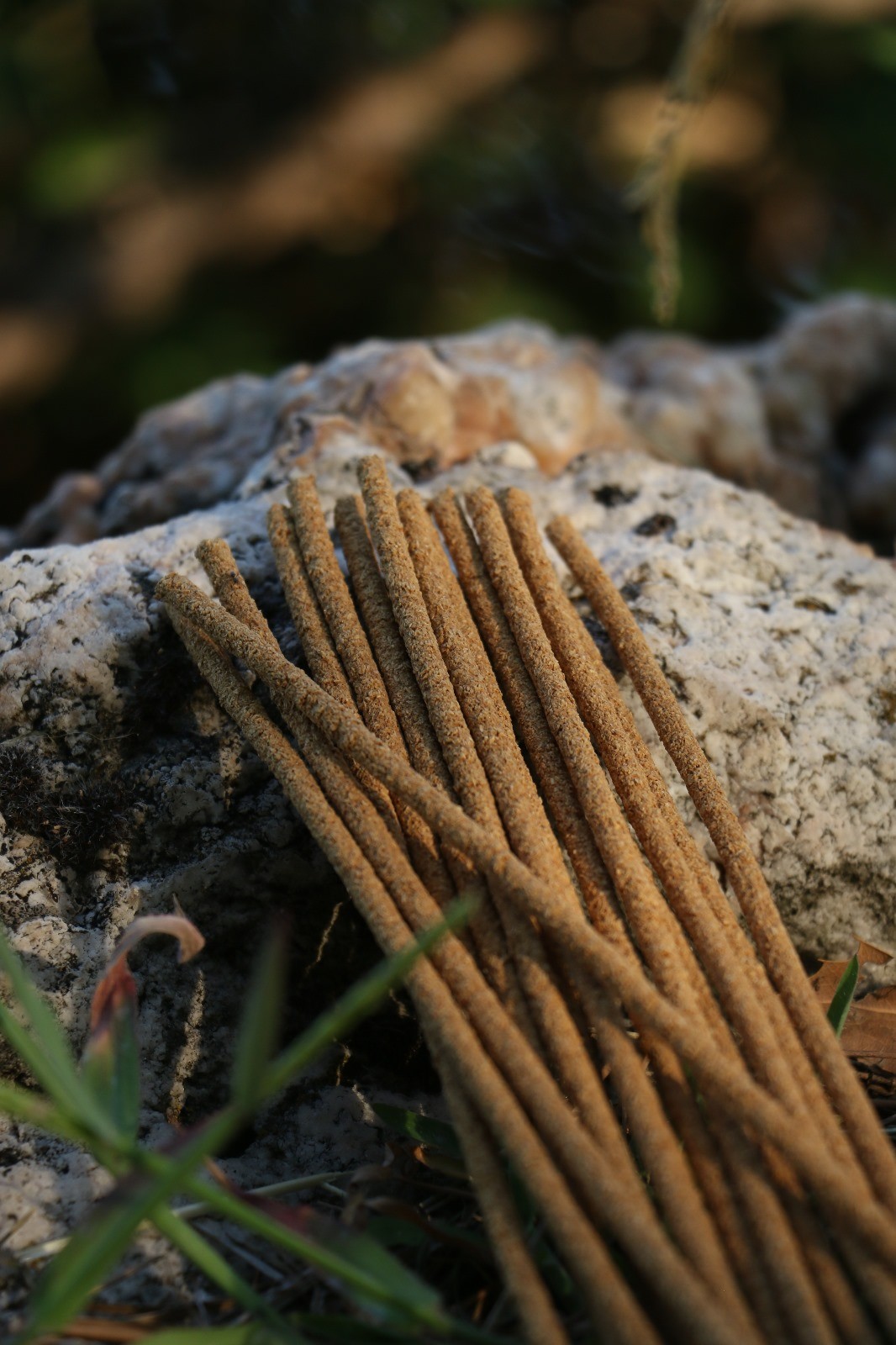 "Palo Santo" Çubuk Doğal Tütsü 