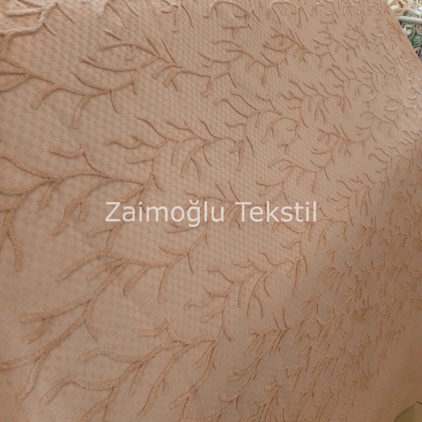 Hera Pike ( Nakışlı Şönil )