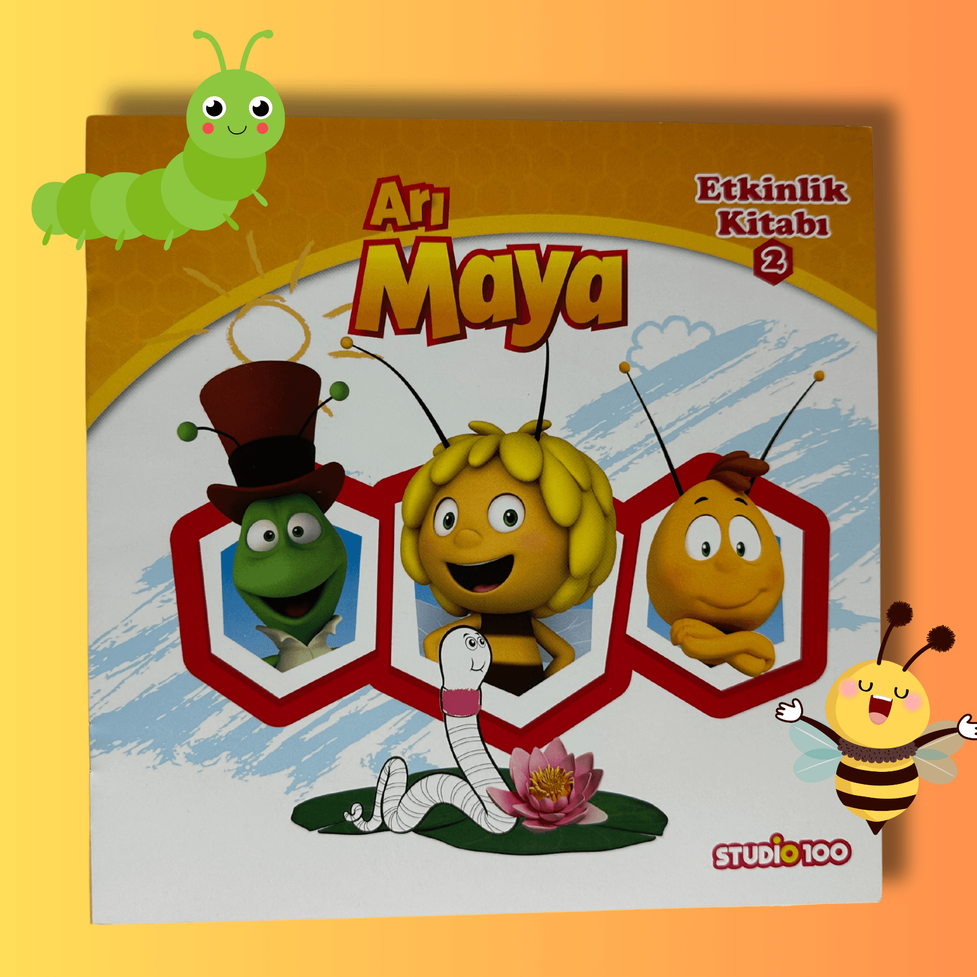 ARI MAYA ETKİNLİK KİTABI 2