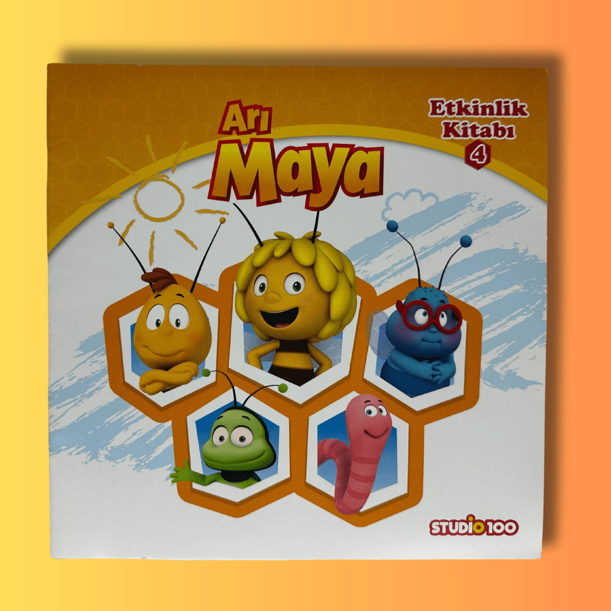 ARI MAYA ETKİNLİK KİTABI 4