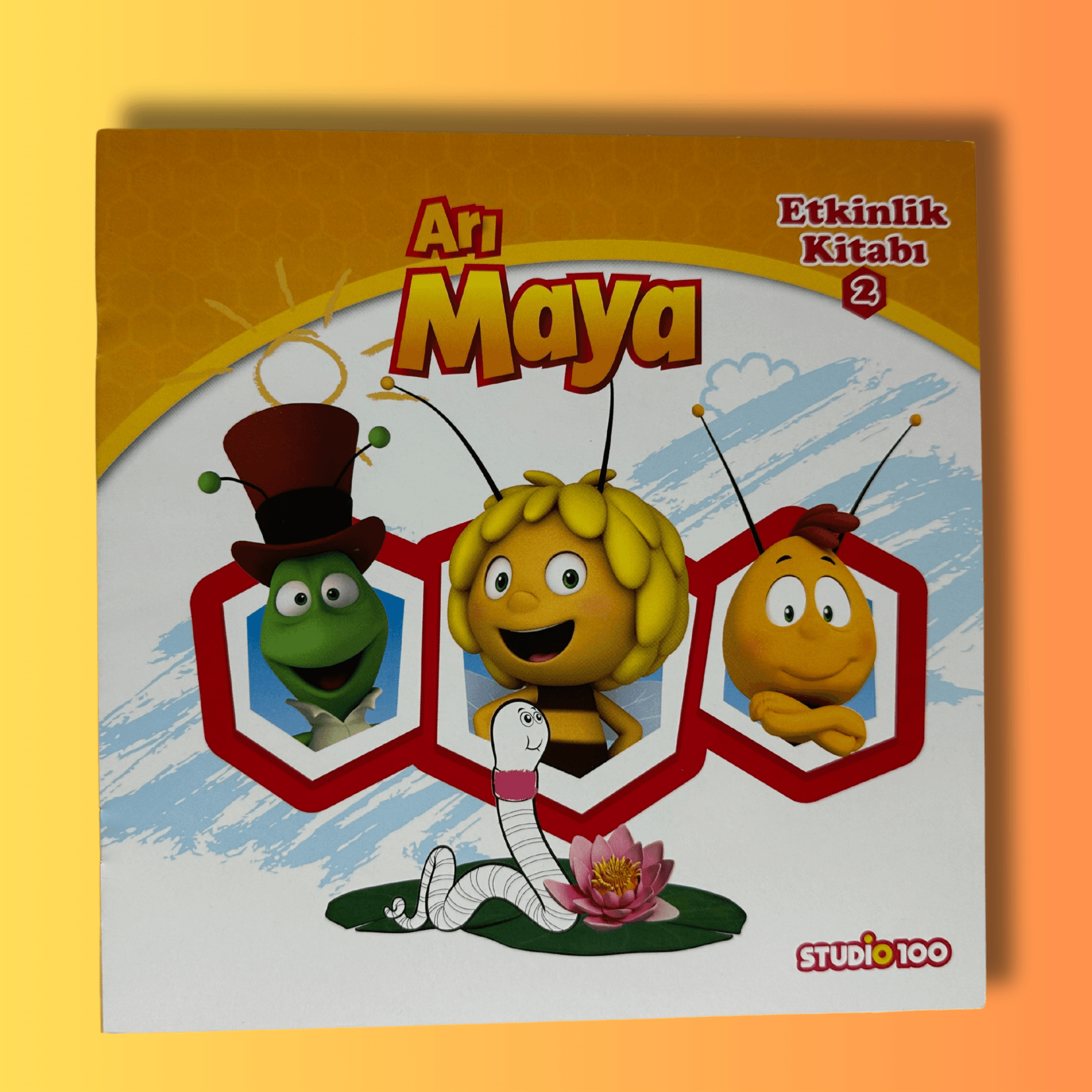 ARI MAYA ETKİNLİK KİTABI 1-2-3-4