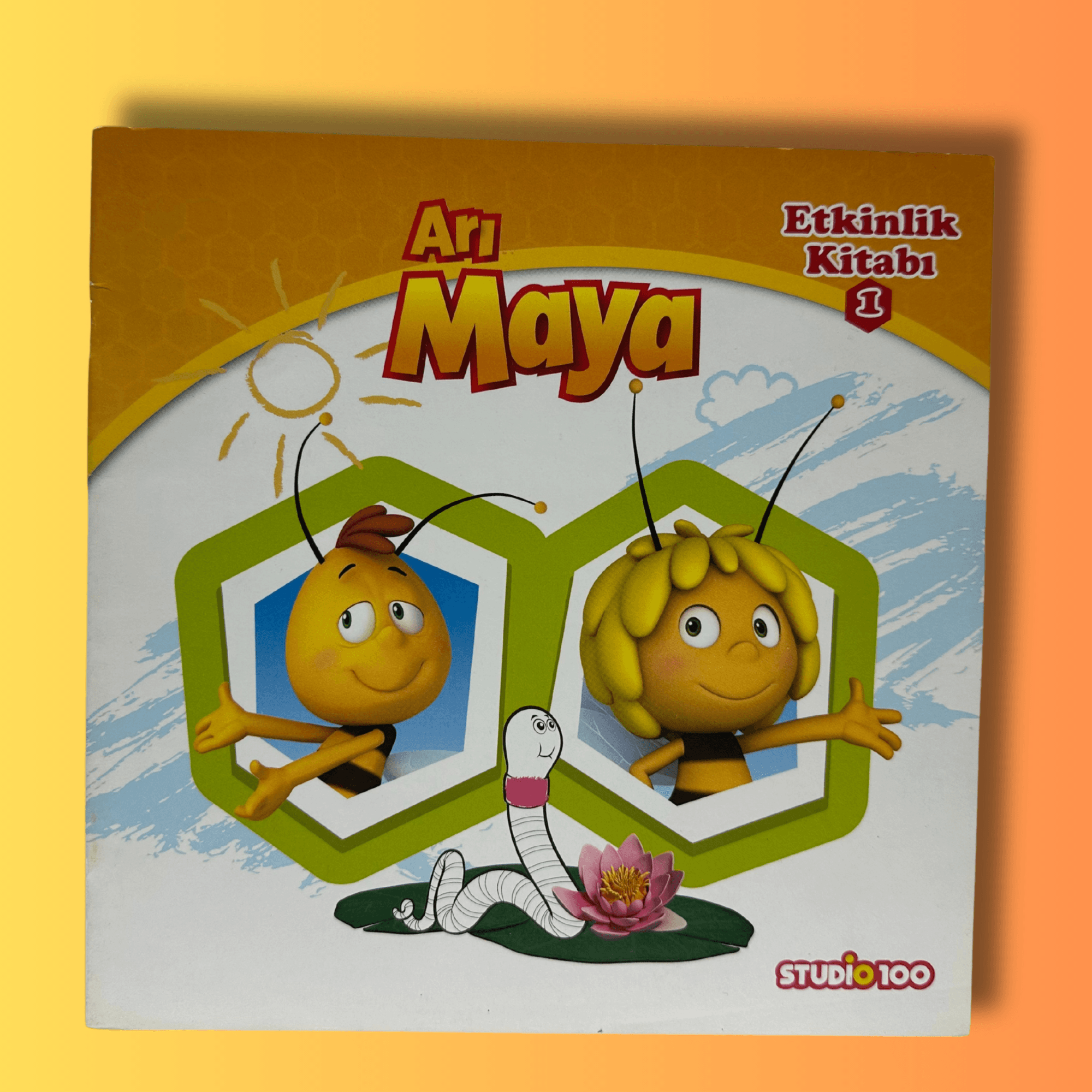 ARI MAYA ETKİNLİK KİTABI 1