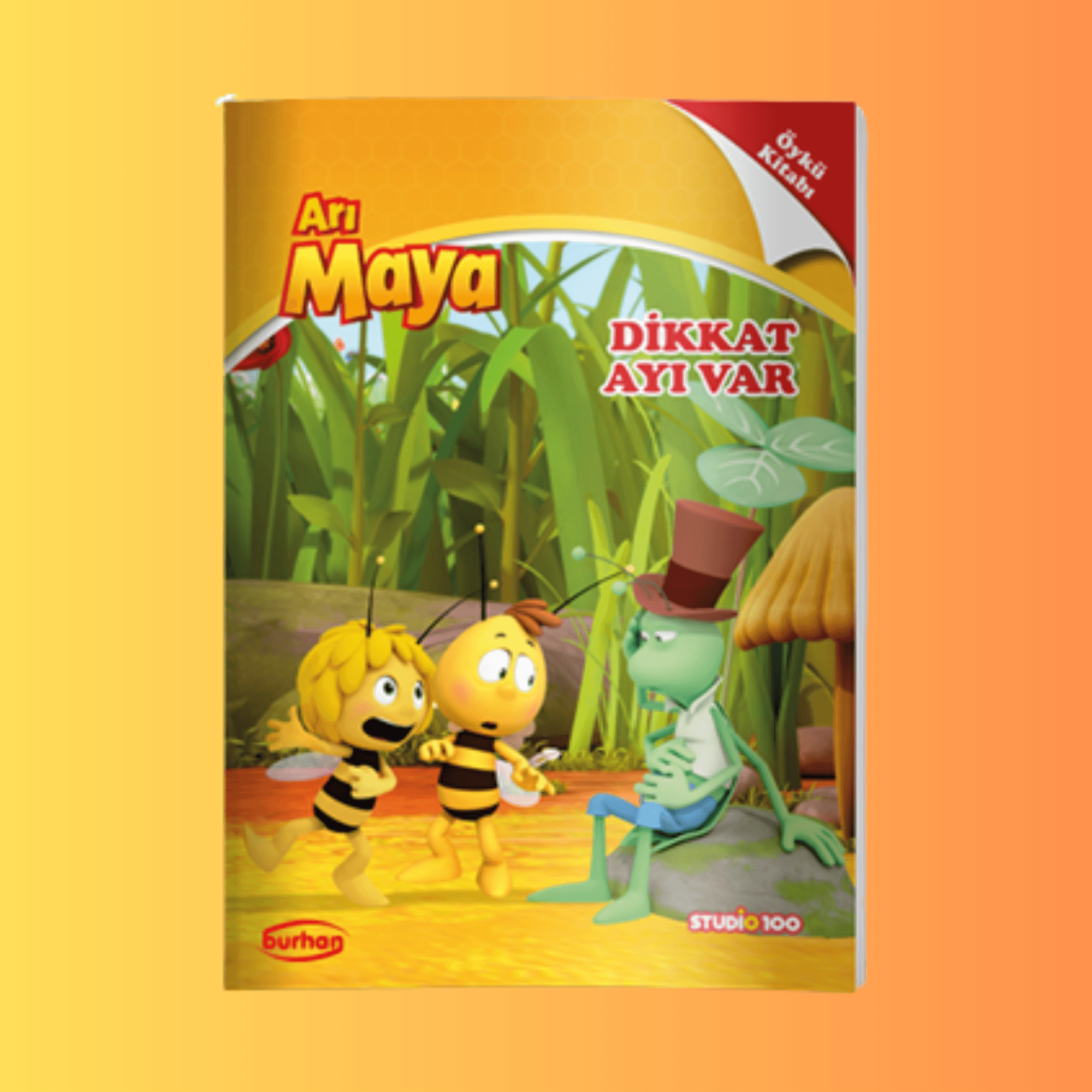 ARI MAYA ÖYKÜ KİTAPLARI DİKKAT AYI VAR