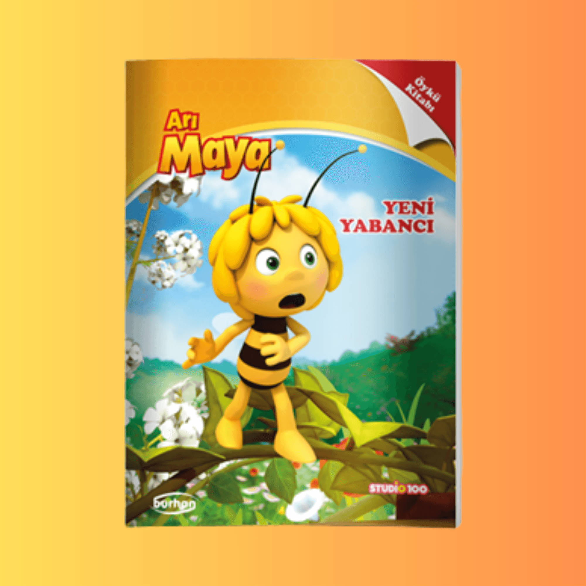 ARI MAYA 4'LÜ ÖYKÜ SETİ