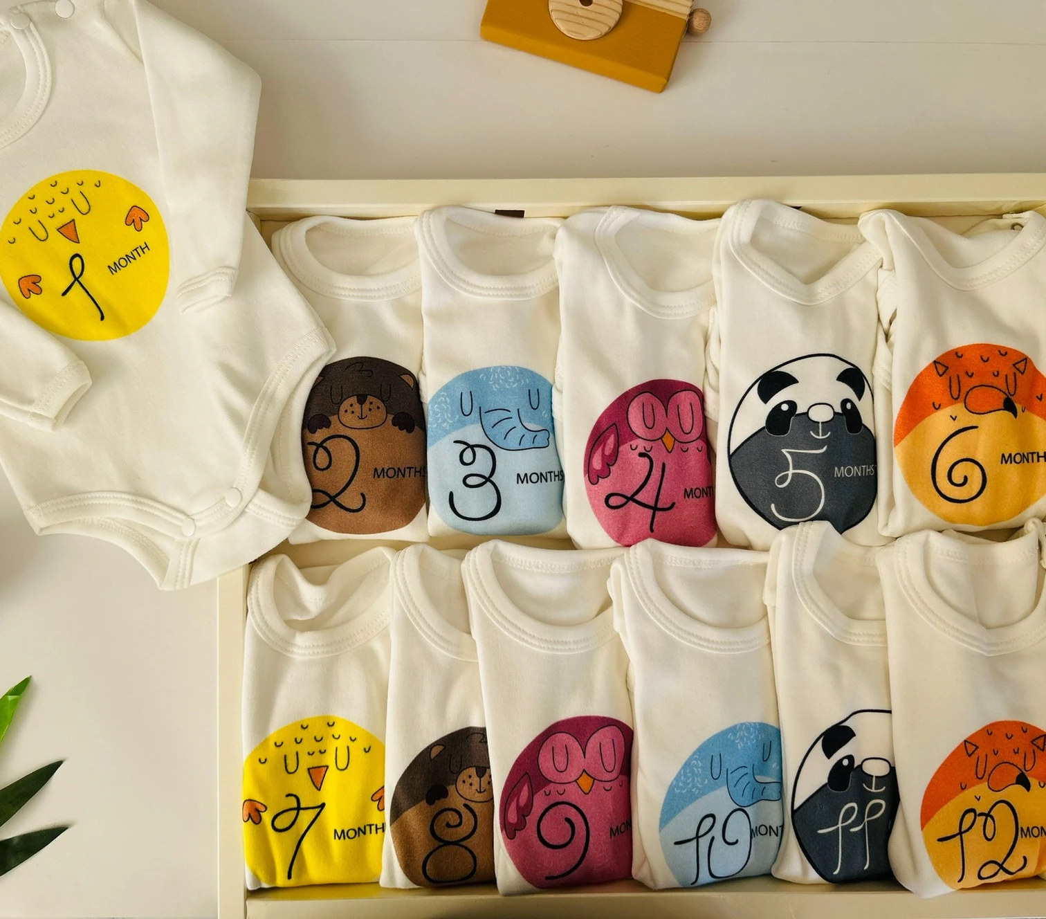 12'li Aylık Body Set | Yenidoğan & Bebek Giyim