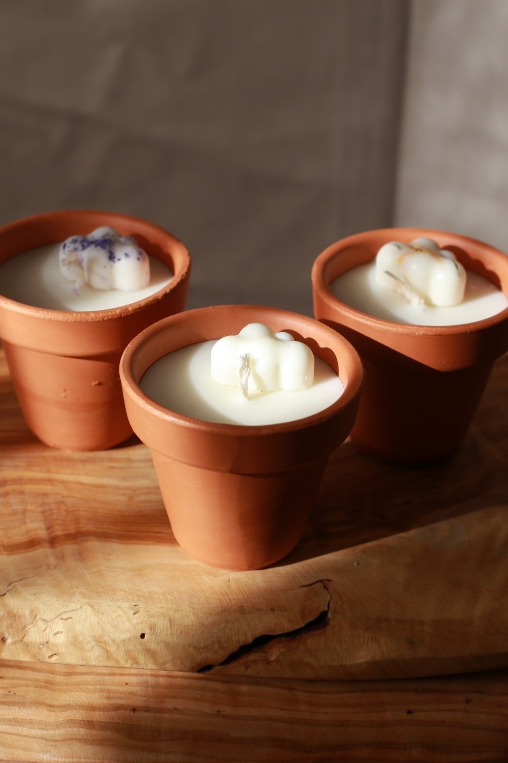 Soya Wax Mum Seti 3’lü  – Toprak Saksıda Doğal Aromaterapi Mumları (30g)