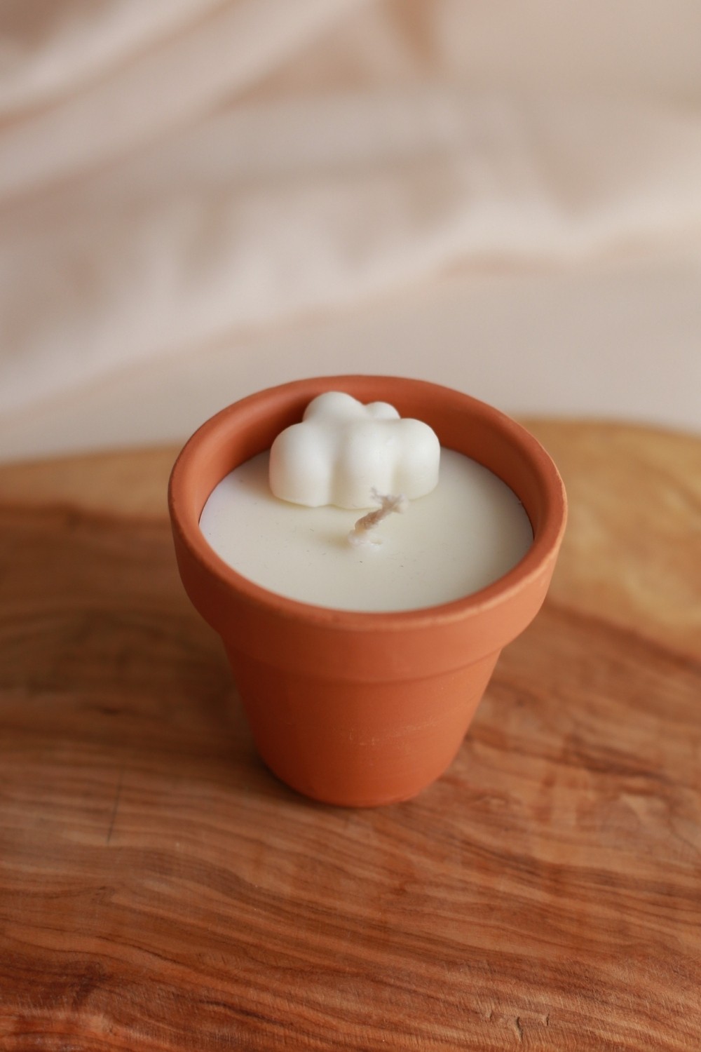 Soya Wax Mum Seti 3’lü  – Toprak Saksıda Doğal Aromaterapi Mumları (30g)