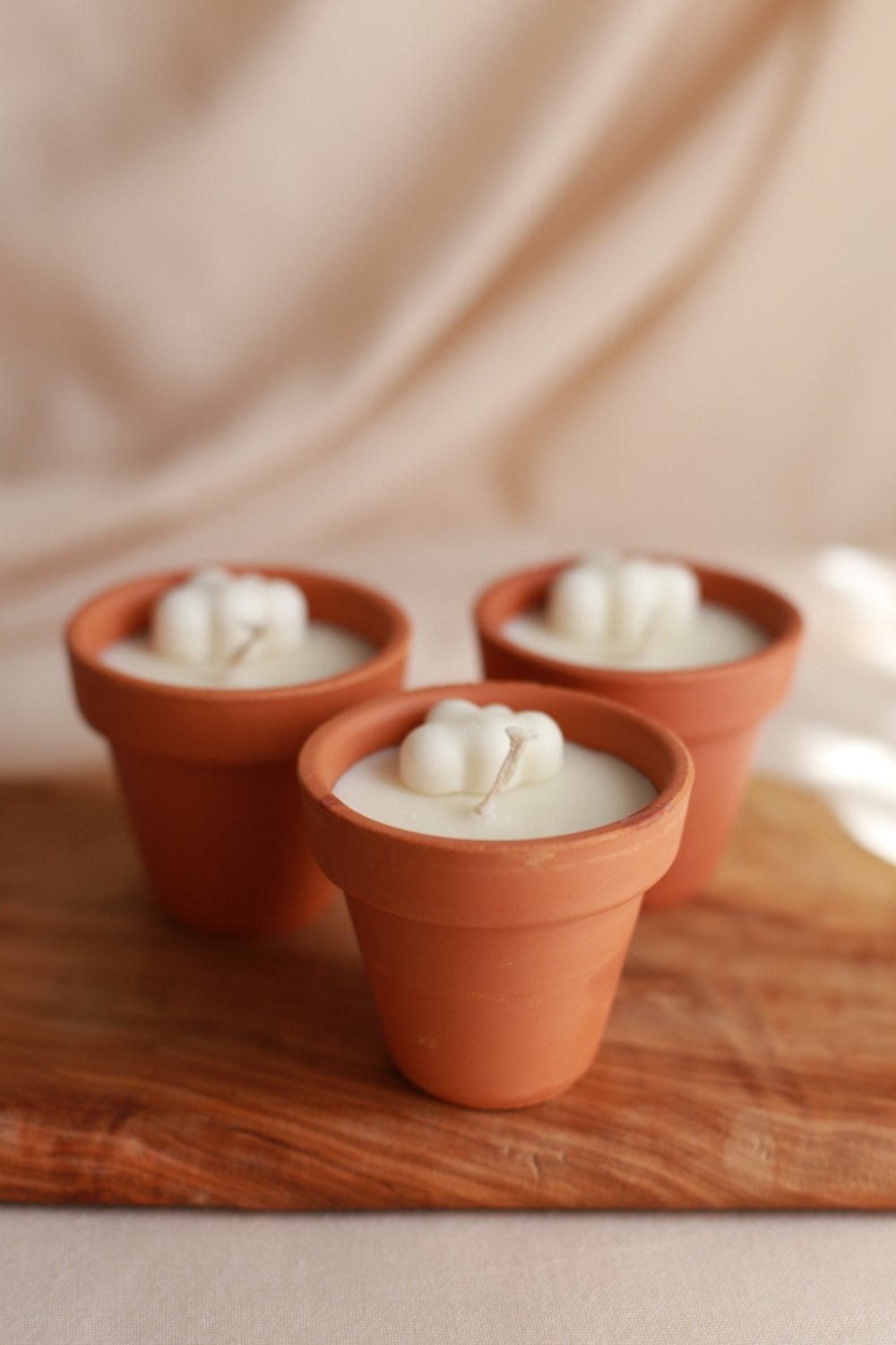 Soya Wax Mum Seti 3’lü  – Toprak Saksıda Doğal Aromaterapi Mumları (30g)