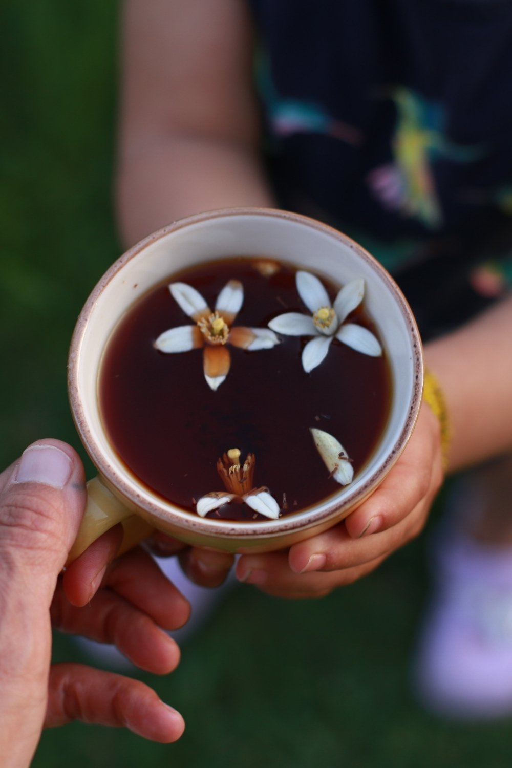 Optimist Rooibos Bitki Çayı – Vanilya ve Portakal Aromalı | Zühre Therapy