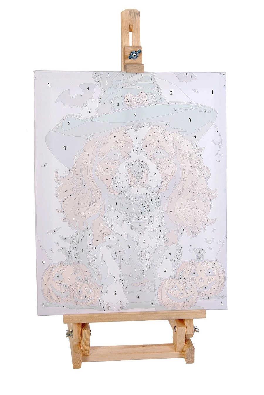 Sayılarla Boyama Hobi Seti Renkli Baskı: Şapkalı Köpek