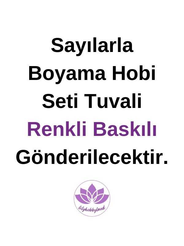 Renkli Baskılı Sayılarla Boyama Hobi Seti: Semazen