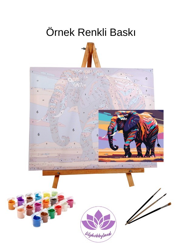 Renkli Baskılı Sayılarla Boyama Hobi Seti: Renkli Makaron