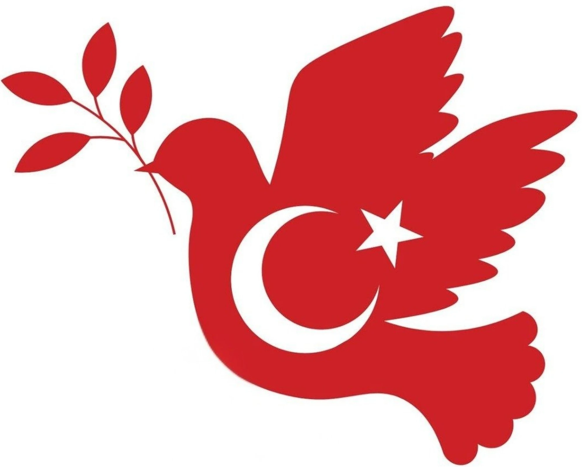 Çocuklar İçin Renkli Baskılı Sayılarla Boyama Hobi Seti (25x20 cm): Minik Ellerle Barış ve Bayrak