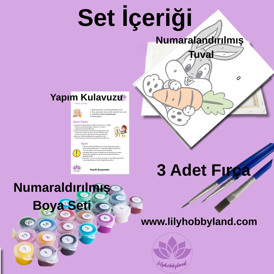 Çocuklar için Renkli Baskılı Sayılarla Boyama Hobi Seti: Yavru Kaplan