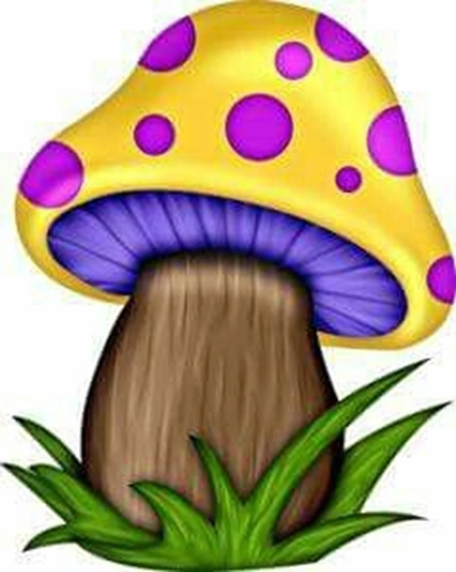 Çocuklar için Renkli Baskılı Sayılarla Boyama Hobi Seti: Renkli Mantar