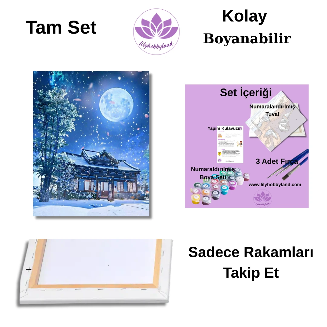 Sayılarla Boyama Seti-Manzara:  Yıldızlı Gece