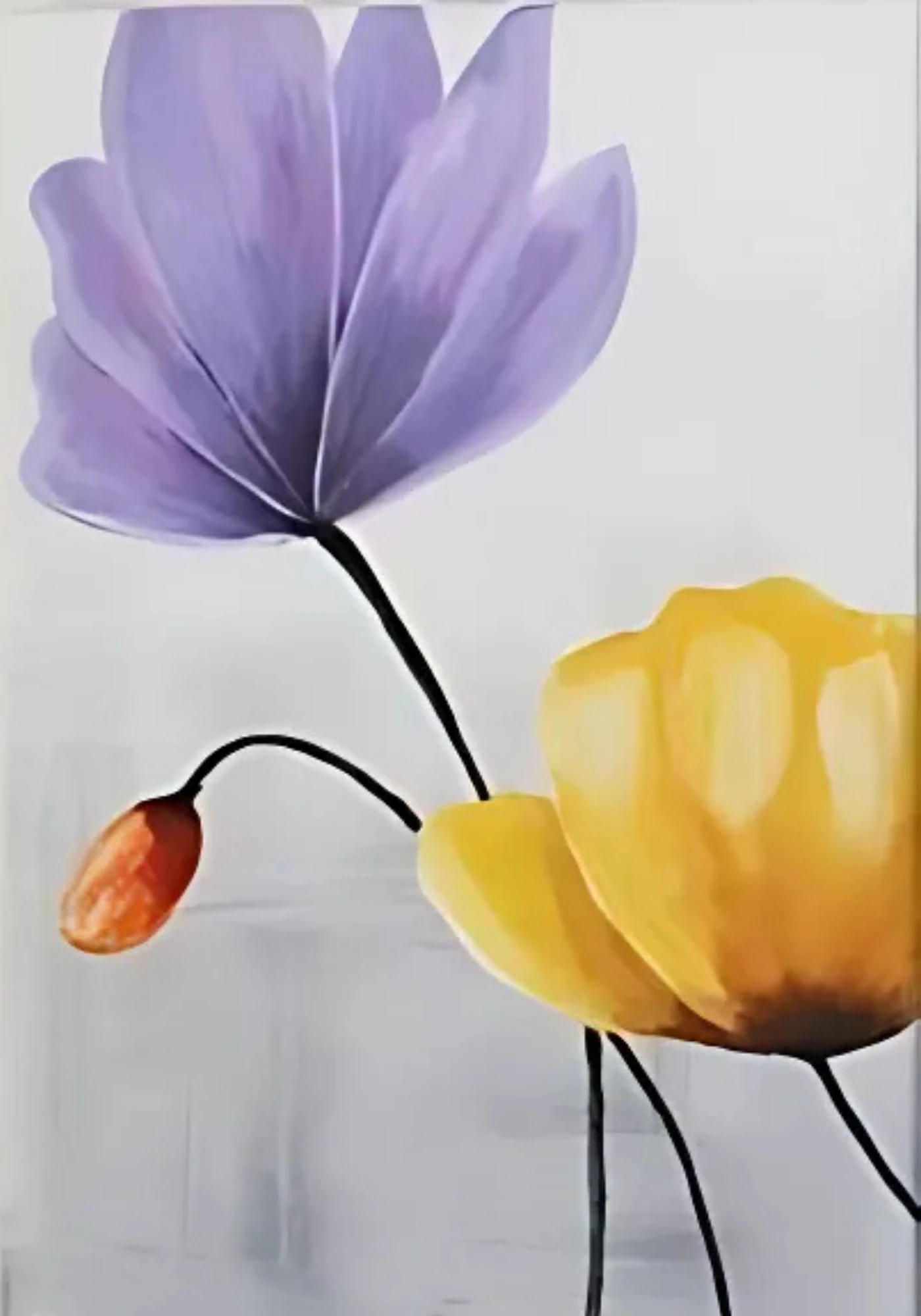 Sayılarla Boyama Hobi Seti Renkli Baskılı: Gelincikler 3 lü set