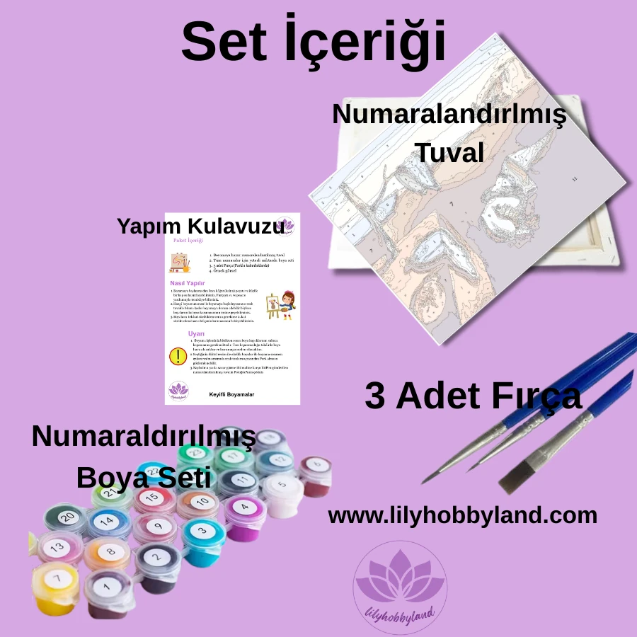 Sayılarla Boyama Hobi Seti:  Kadın ve Panter