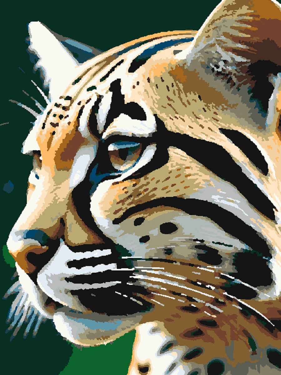 Sayılarla Boyama Hobi Seti Renkli Baskılı: Renkli Kaplan