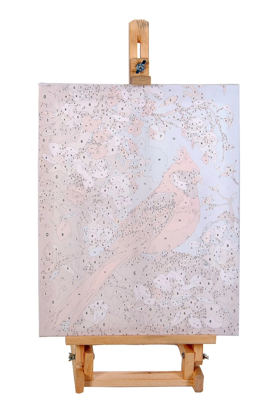 Sayılarla Boyama Hobi Seti Renkli Baskı:  Kırmızı Kuş