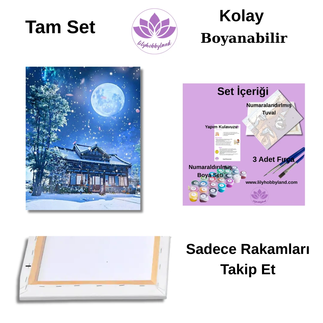  Sayılarla Boyama Seti Yılbaşı Temalı: Yılbaşı Süsü