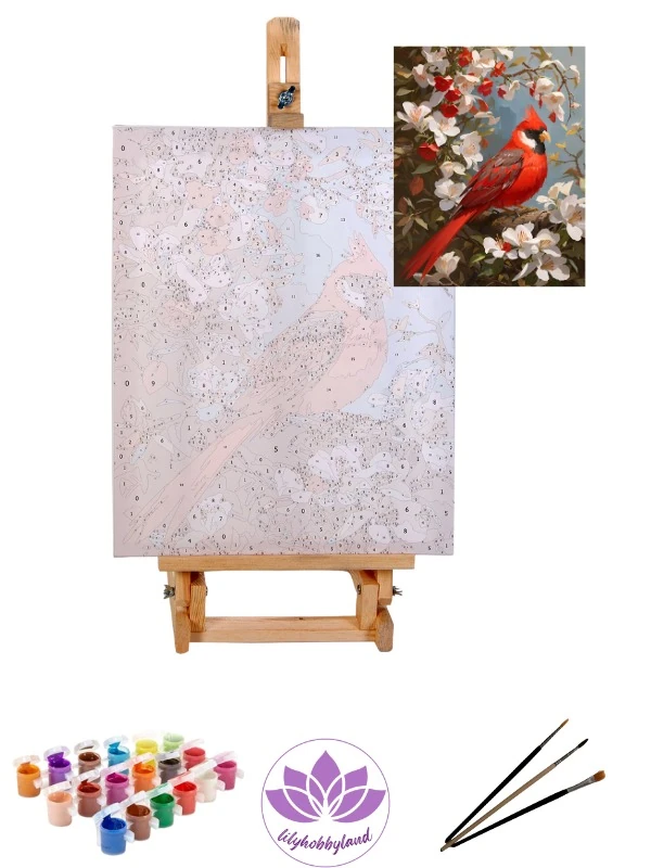 Sayılarla Boyama Hobi Seti Renkli Baskı:  Kırmızı Kuş